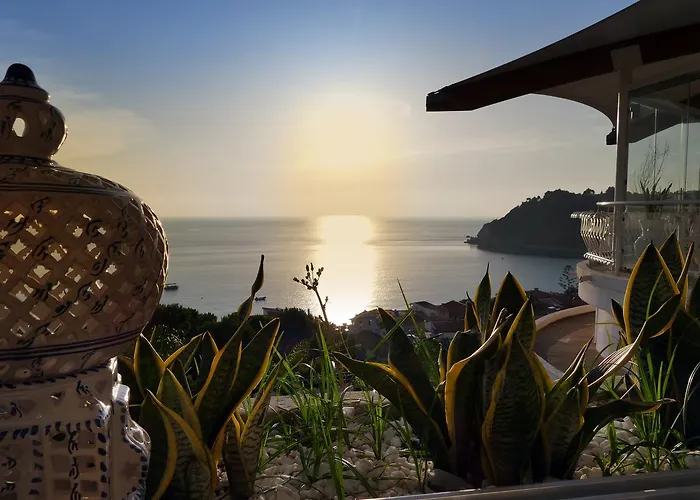 斯格利奥德拉加莱亚酒店 酒店